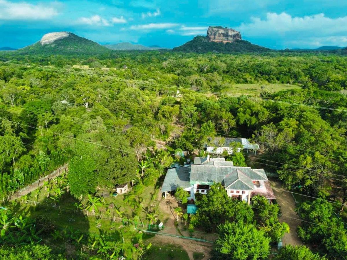 Sinhagiri Villa Сигирия Екстериор снимка