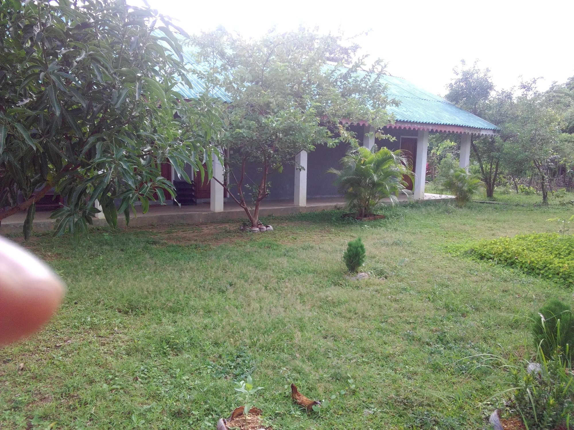 Sinhagiri Villa Сигирия Екстериор снимка