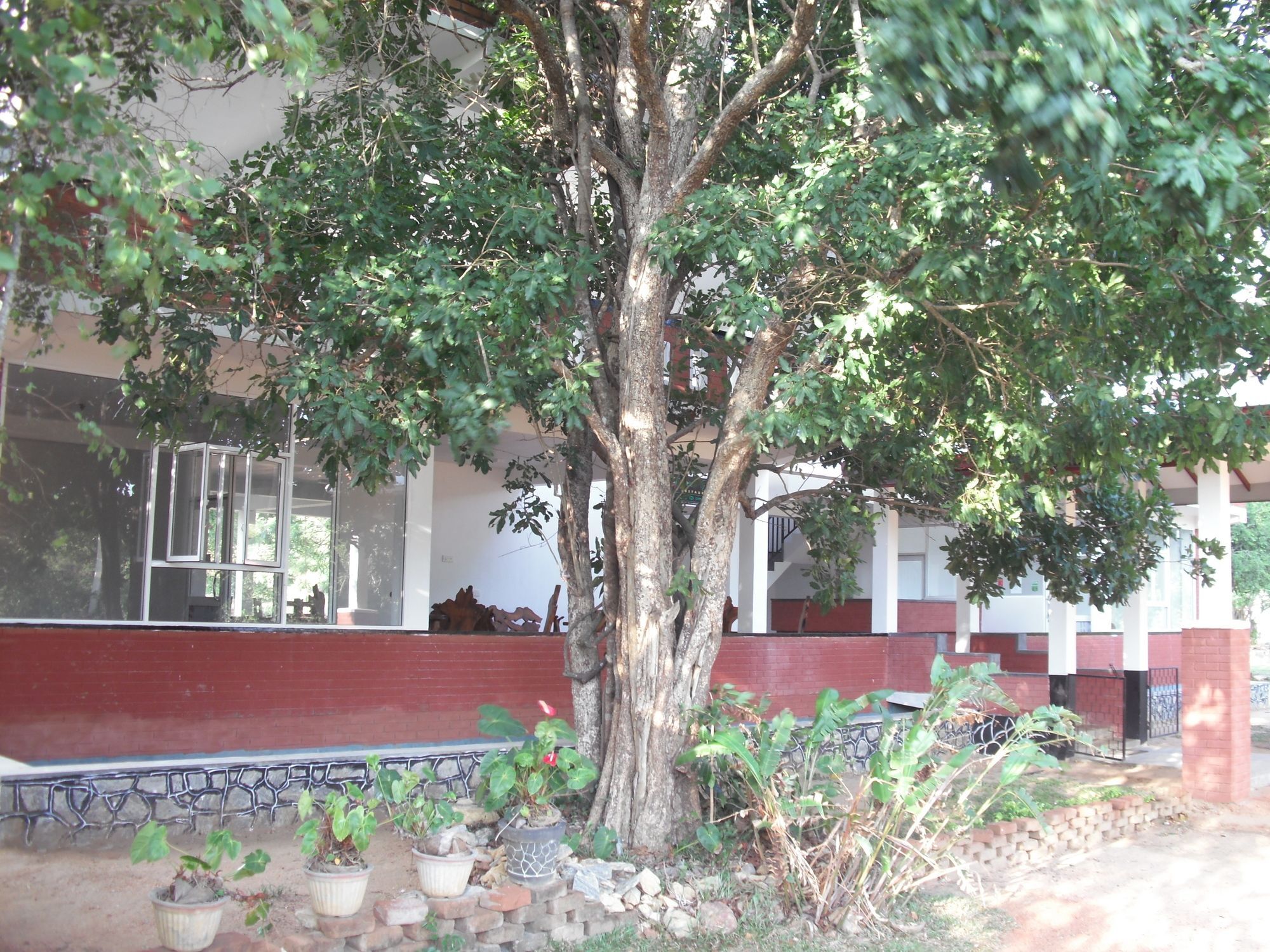Sinhagiri Villa Сигирия Екстериор снимка